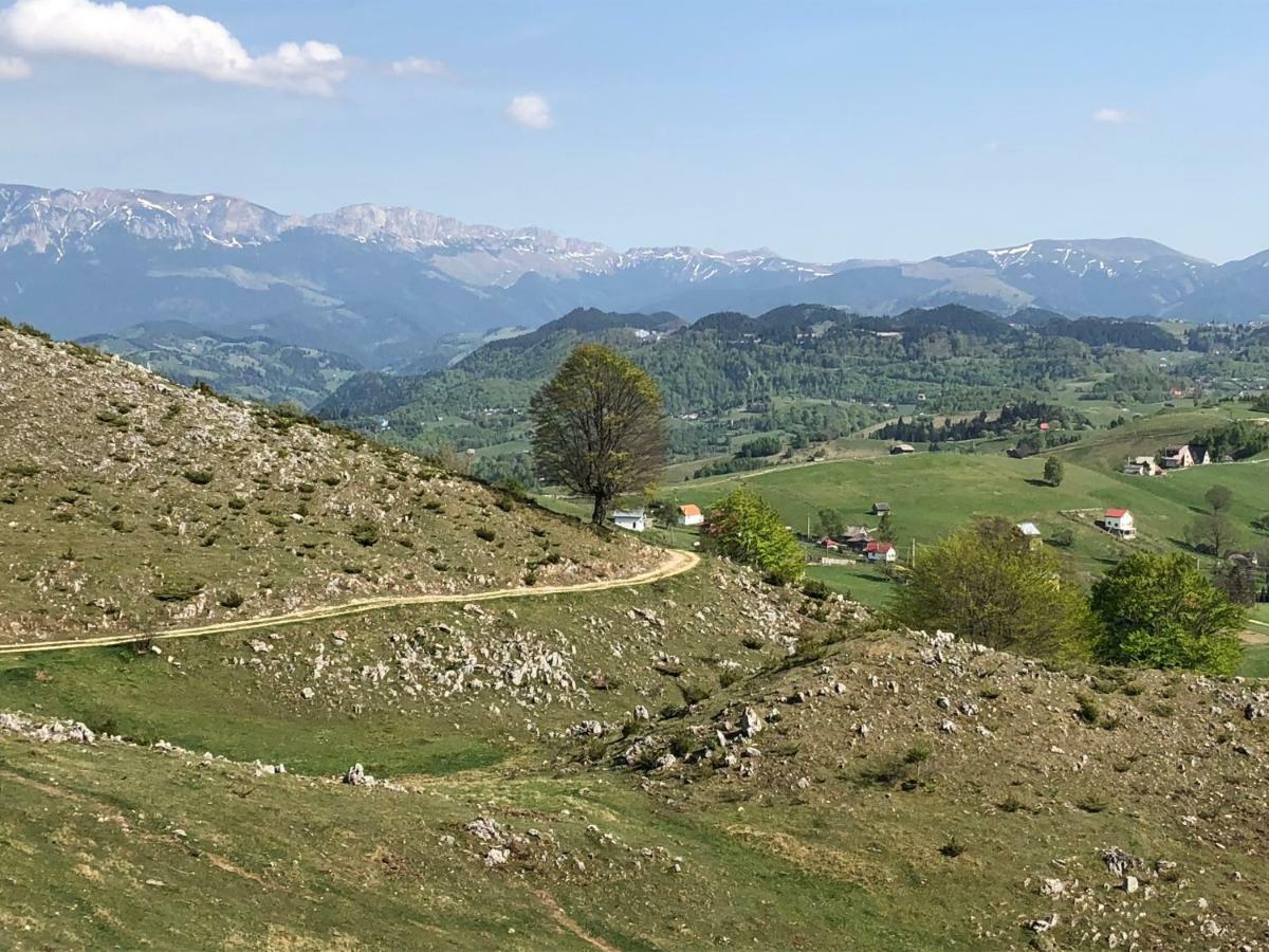 Casa Marioara Farm stay Sirnea