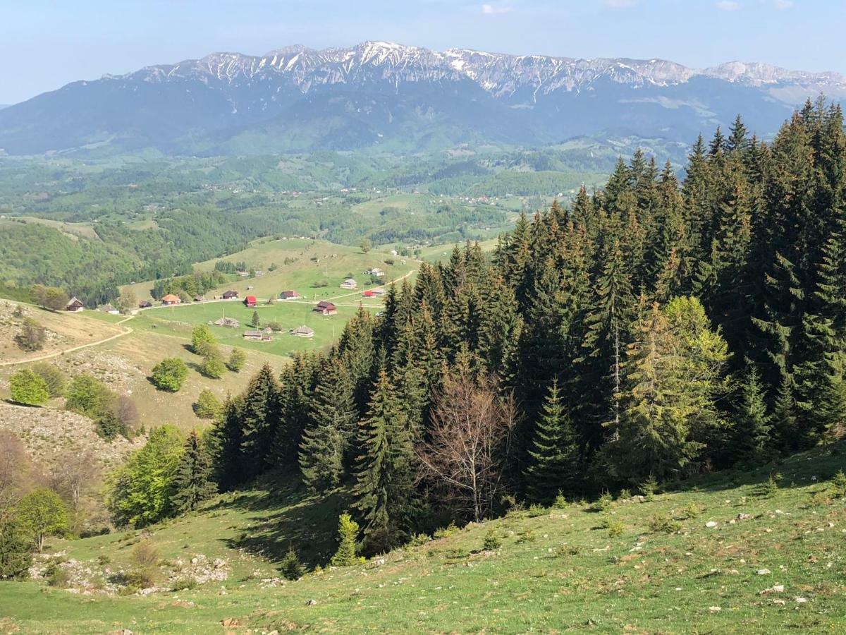 Casa Marioara Farm stay