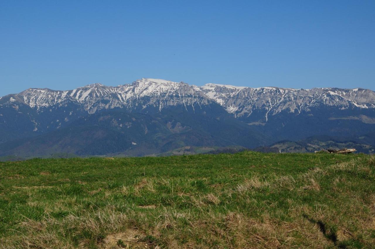 Casa Marioara Farm stay Sirnea